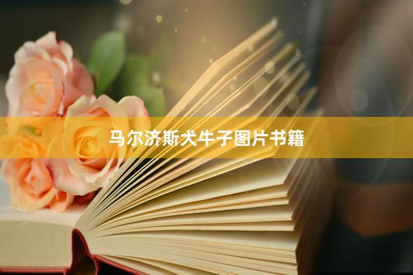 马尔济斯犬牛子图片书籍