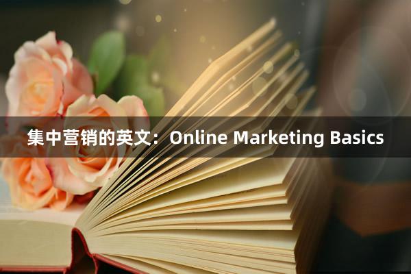 集中营销的英文：Online Marketing Basics